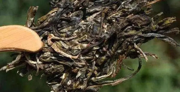 不同普洱茶生產(chǎn)地味道有哪些不同，不同派別的普洱茶味道又如何?