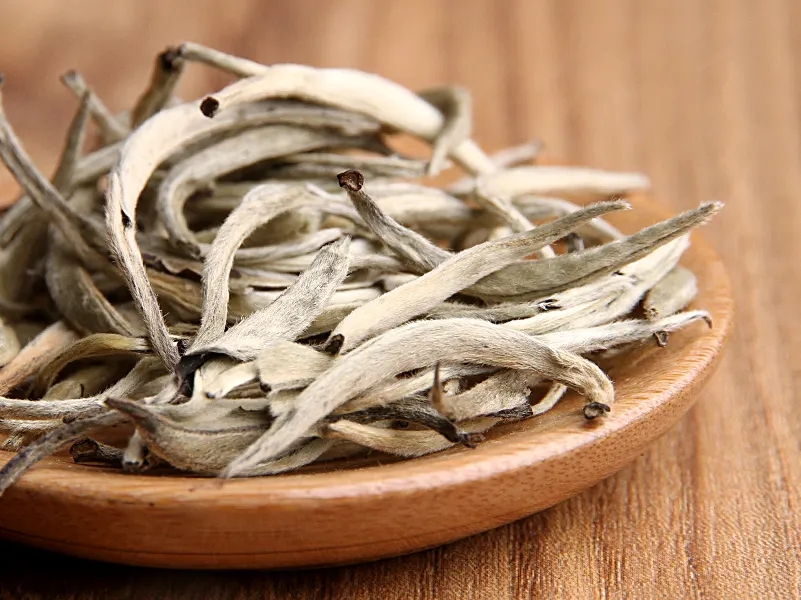 福鼎白茶、安吉白茶、云南月光白“三白”的區(qū)別