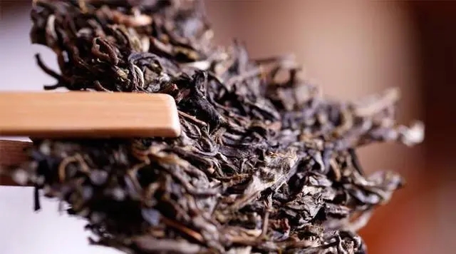 普洱生茶好還是普洱熟茶好喝？如何挑選適合自己的普洱茶？