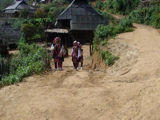 2022年的春天，古樹味道從犀牛塘開始！