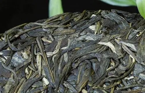 喝普洱茶，一定要喝老茶嗎？