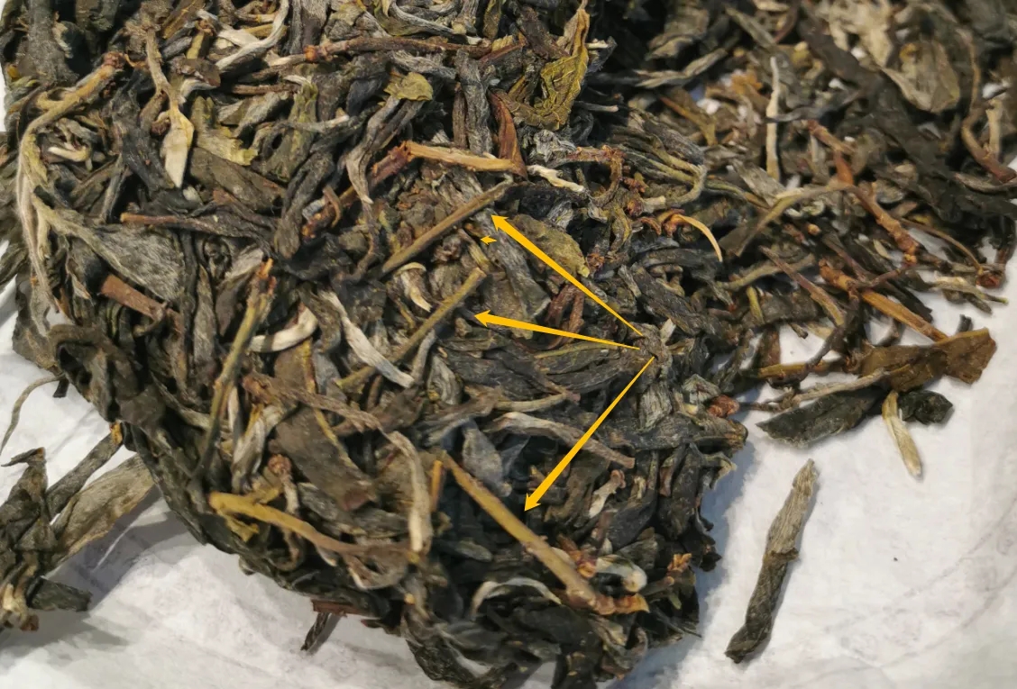 普洱茶的葉底有茶梗，就是茶不好嗎？