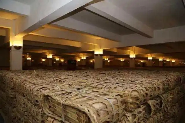 云南古樹普洱茶好在哪？相比小樹茶、臺地茶有何不同？