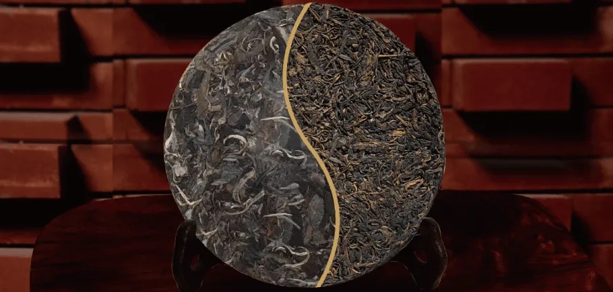 一入普門深似海？入普洱門前，你需要了解這些