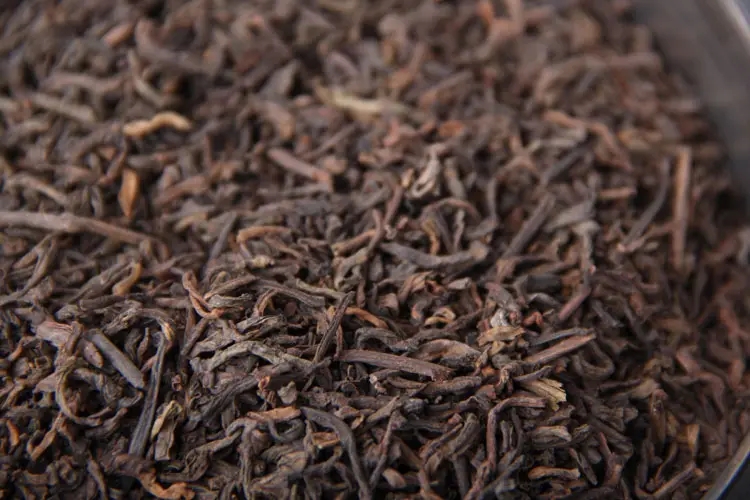 品懂熟茶丨新制的熟茶怎么品評？