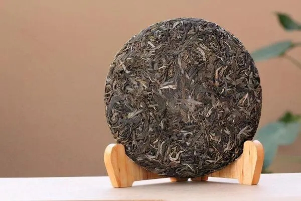 普洱茶入門首要問題，弄清楚，才能喝好茶