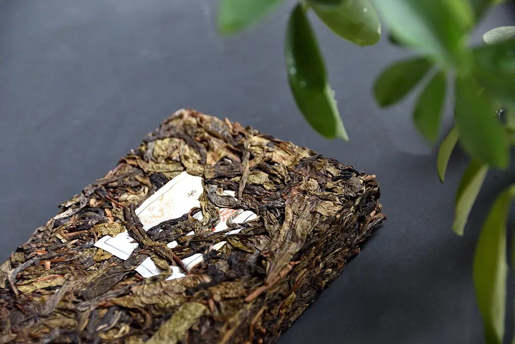 普洱茶古樹黃片，性價比超高的口糧茶，有骨有肉香甜順