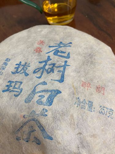 2023年拔瑪老寨古樹春茶口感如何？