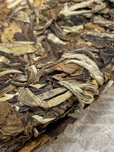 2023年拔瑪老寨古樹春茶特點是什么？