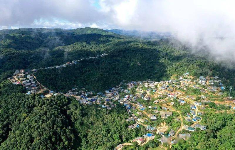 2023年帕沙古樹春茶口感怎么樣？