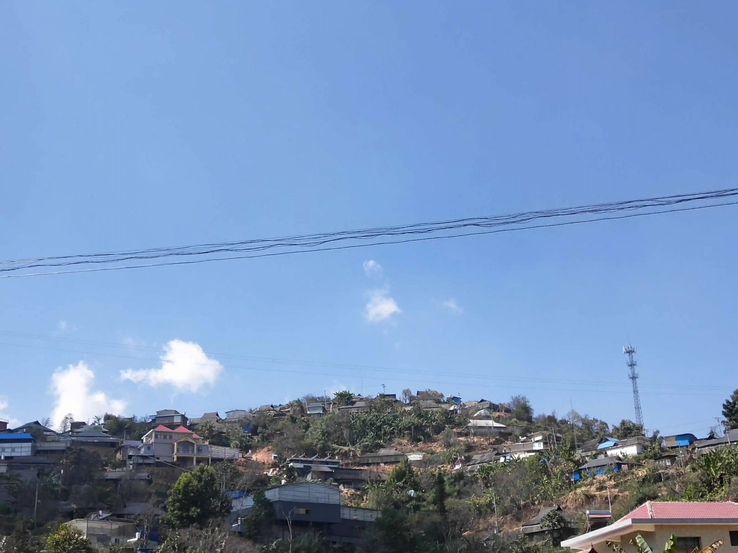 2023帕沙古樹春茶特點是什么？