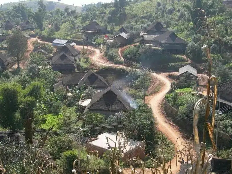 2023年保塘老寨古樹(shù)春茶品質(zhì)如何？