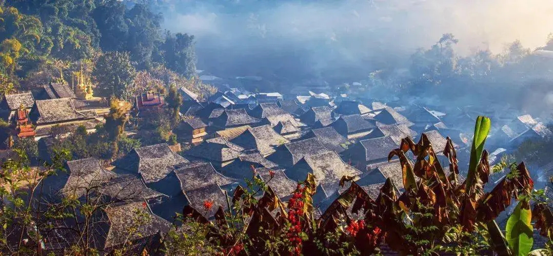 2023年景邁古樹(shù)春茶品質(zhì)如何？