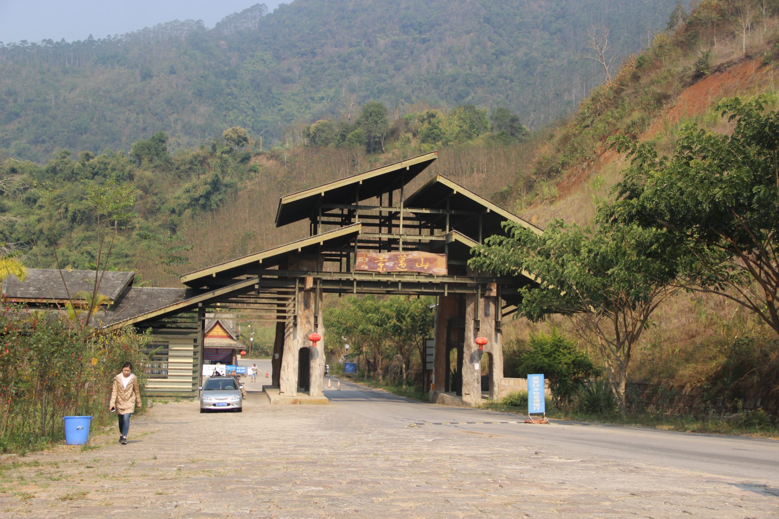 2023年景邁古樹(shù)春茶口感如何？