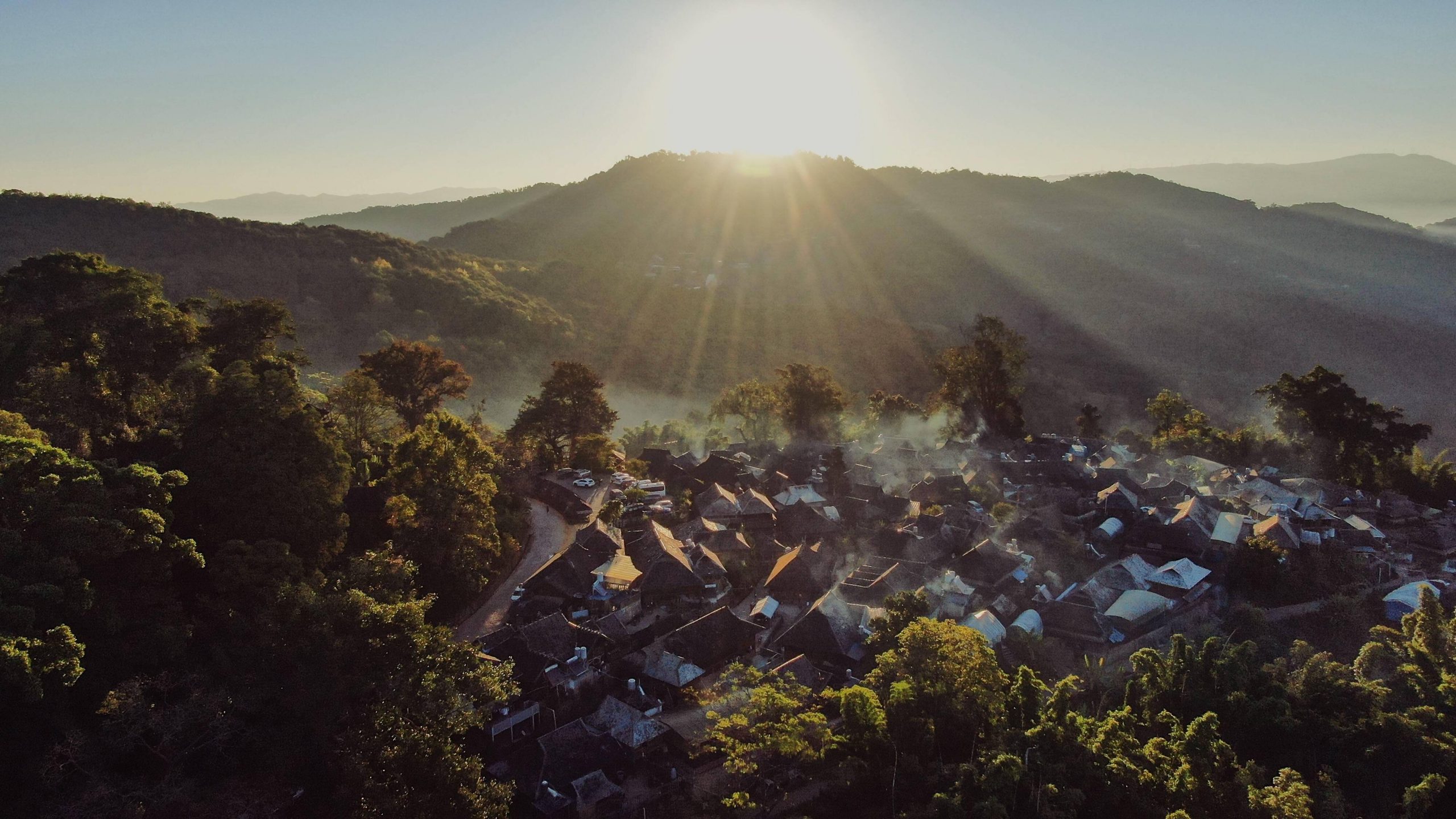 2023年景邁古樹(shù)春茶多少錢一公斤？