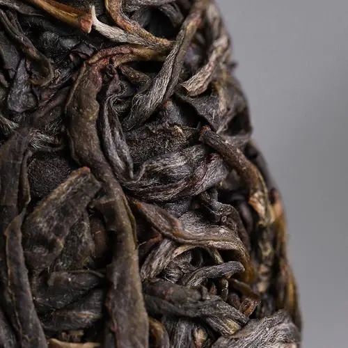 2023年迷帝古樹春茶價格是多少？