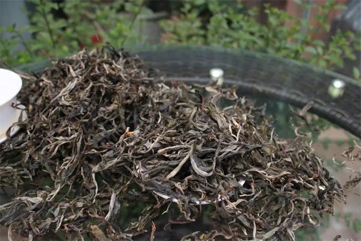 2023冰島古樹春茶品質(zhì)如何？