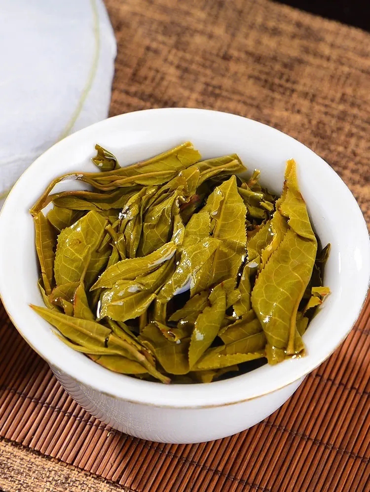 2023白鶯山古樹春茶特點是什么？