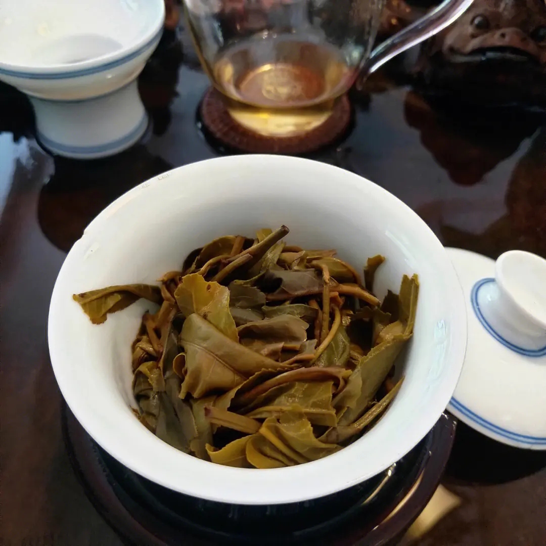 2023年昔歸古樹春茶口感如何？