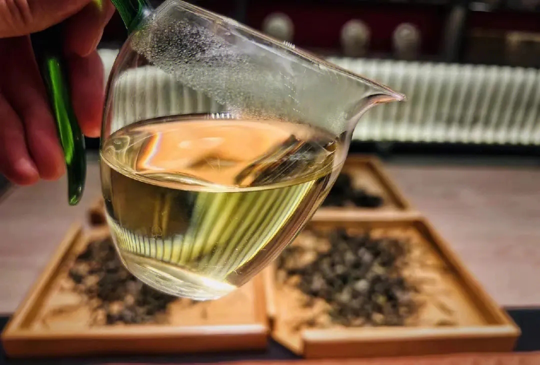 2023年鳳凰窩古樹春茶價格是多少？