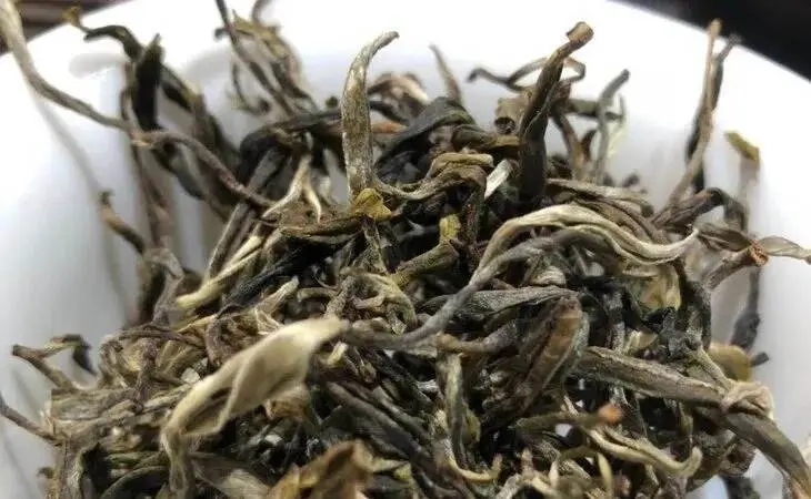 2023年鳳凰窩古樹春茶多少一公斤？