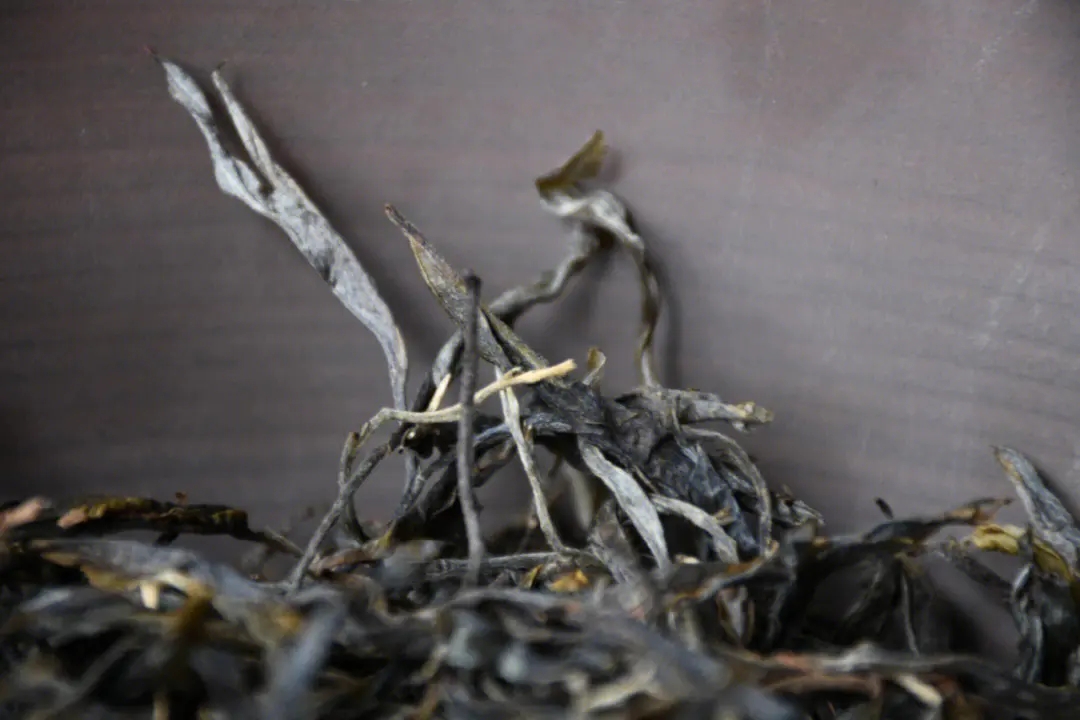 2023年正氣塘古樹春茶多少一公斤？