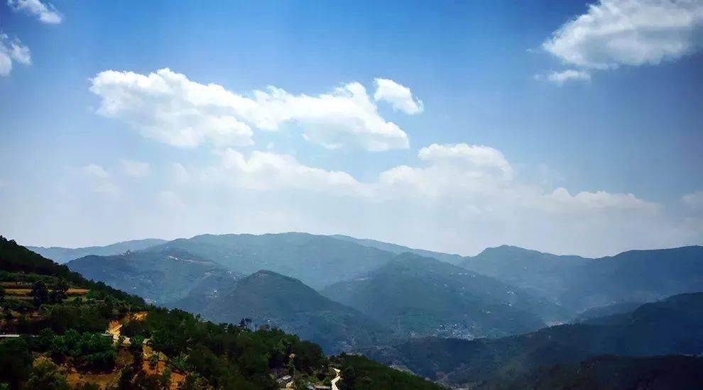 2023年勐庫大忠山古樹春茶價格是多少？