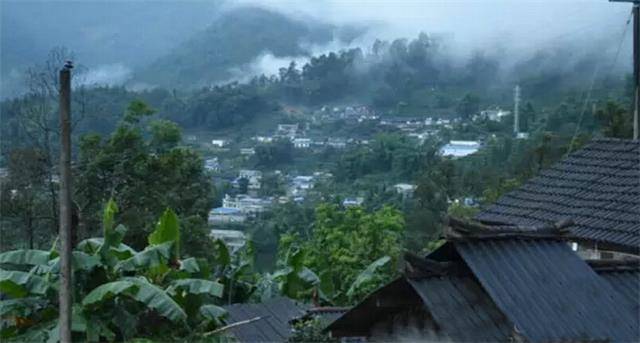 2023年勐庫(kù)豆腐寨古樹春茶口感怎么樣？