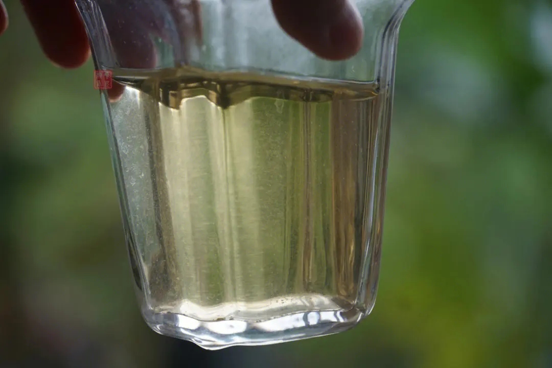 2023年多依樹古樹春茶價(jià)格是多少？