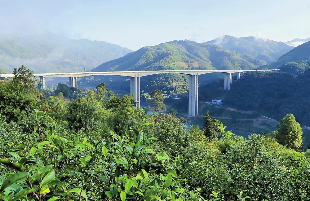 2024年昔歸古樹春茶品質(zhì)如何？