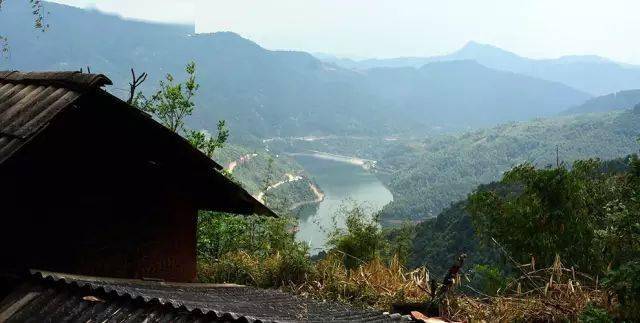 2024年磨烈古樹春茶價(jià)格多少？