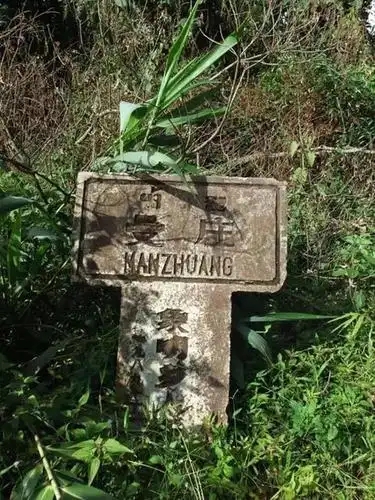 2025年蠻磚古樹春茶特點是什么？