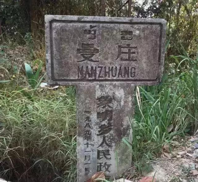 2025年蠻磚古樹春茶價格是多少？