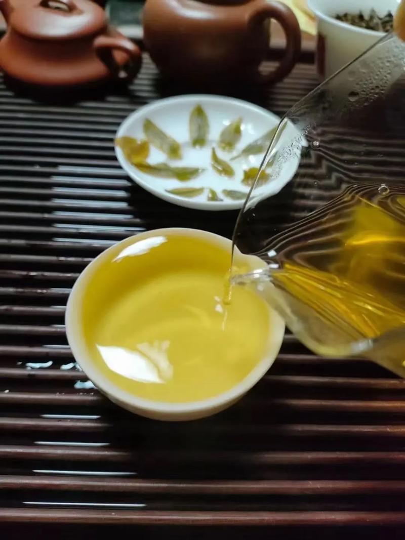 倚邦貢茶，甘甜醇柔